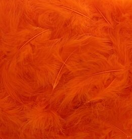 Plumes Orange