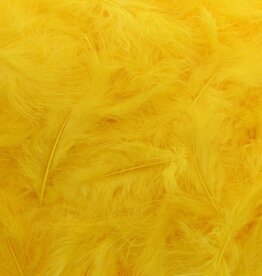 Plumes Jaune foncé