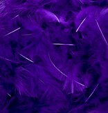 Federn Violett/lila – etwa 400 Stück pro Beutel