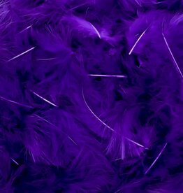 Plumes Violet/pourpre