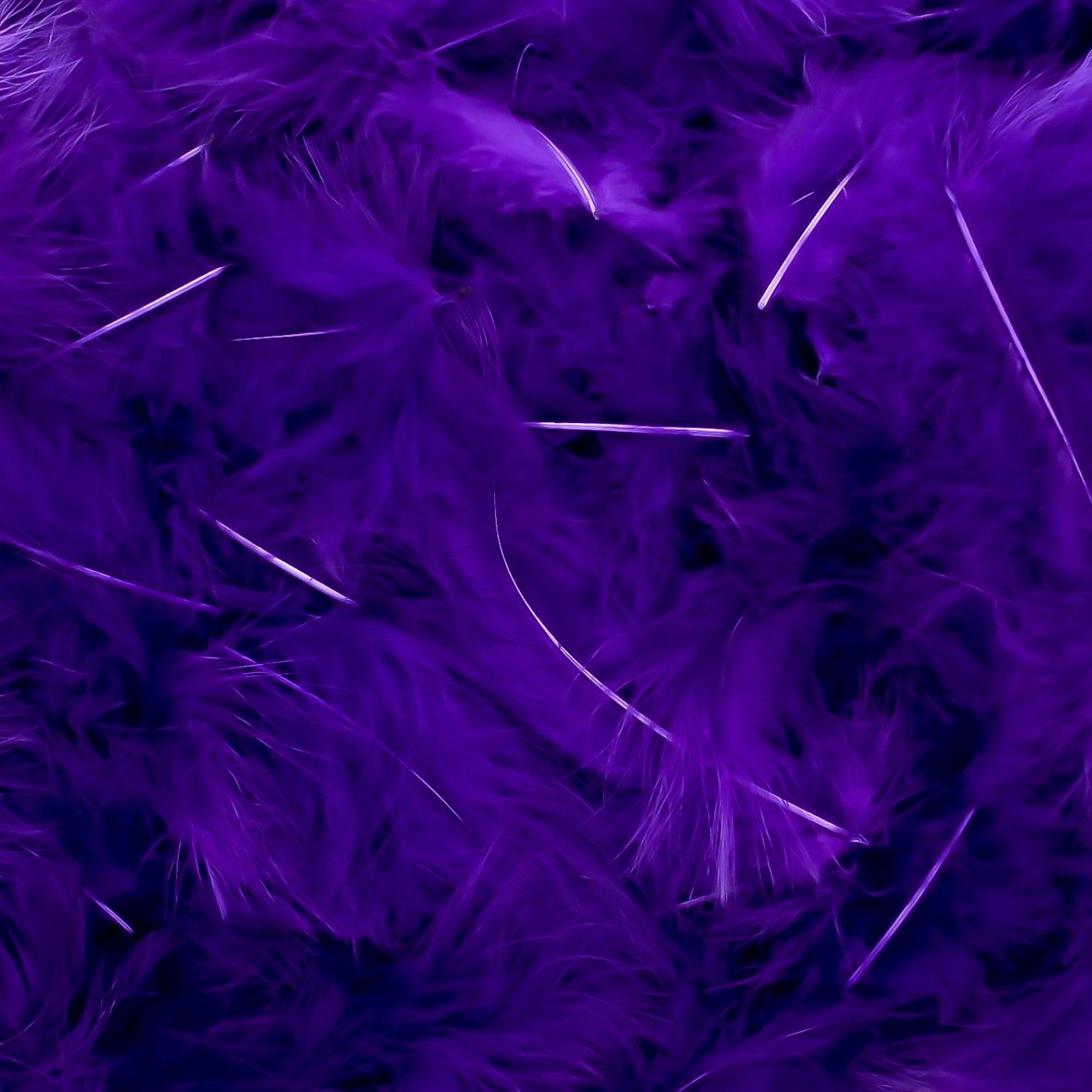 Federn Violett/lila – etwa 400 Stück pro Beutel