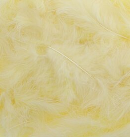 Feathers Light yellow