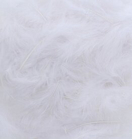 Plumes Blanc