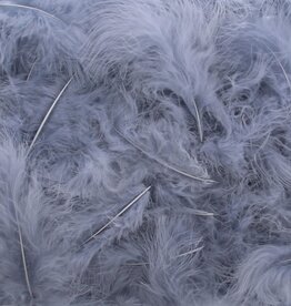 Plumes  Gris