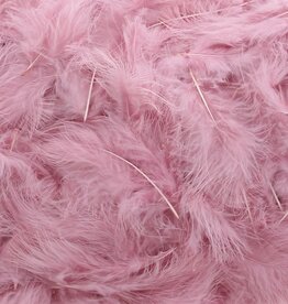 Plumes  Vieux rose