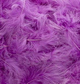 Plumes  Lilas