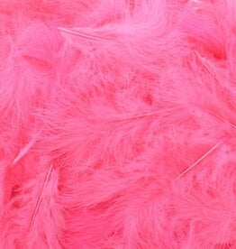 Feathers Dark pink