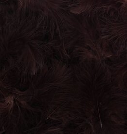 Feathers Chestnut brown