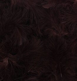 Plumes Marron