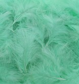 Feathers  Mint - about 400 pieces per bag