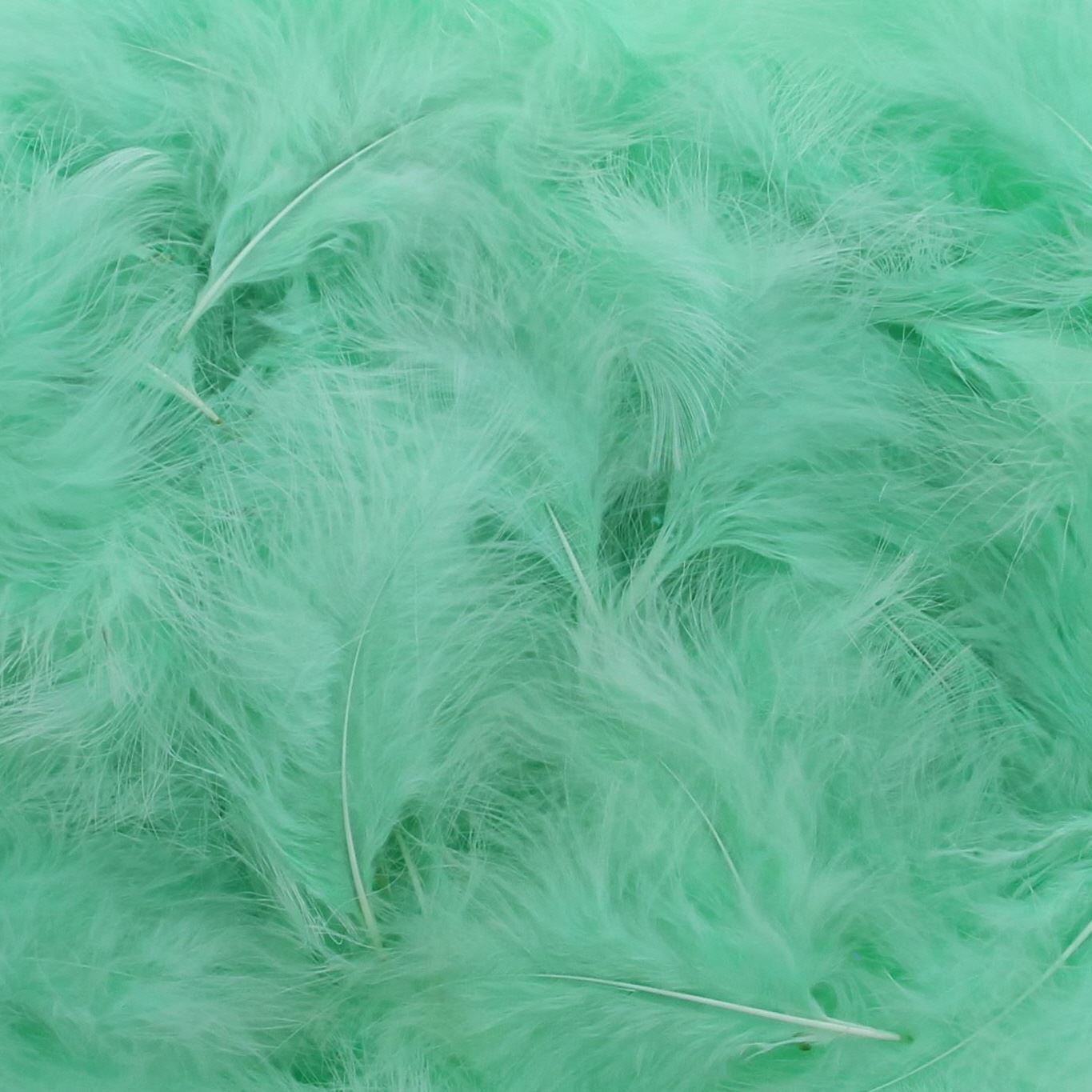 Feathers  Mint - about 400 pieces per bag