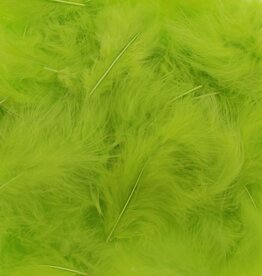 Feathers Light green