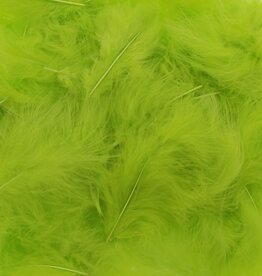 Plumes Vert clair