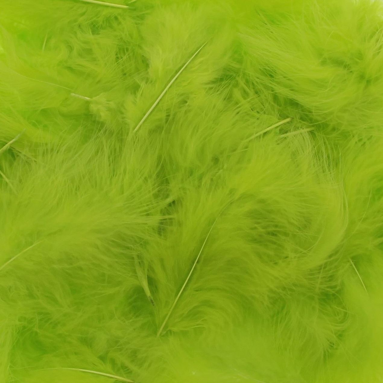 Federn Leichtgrün – etwa 400 Stück pro Beutel