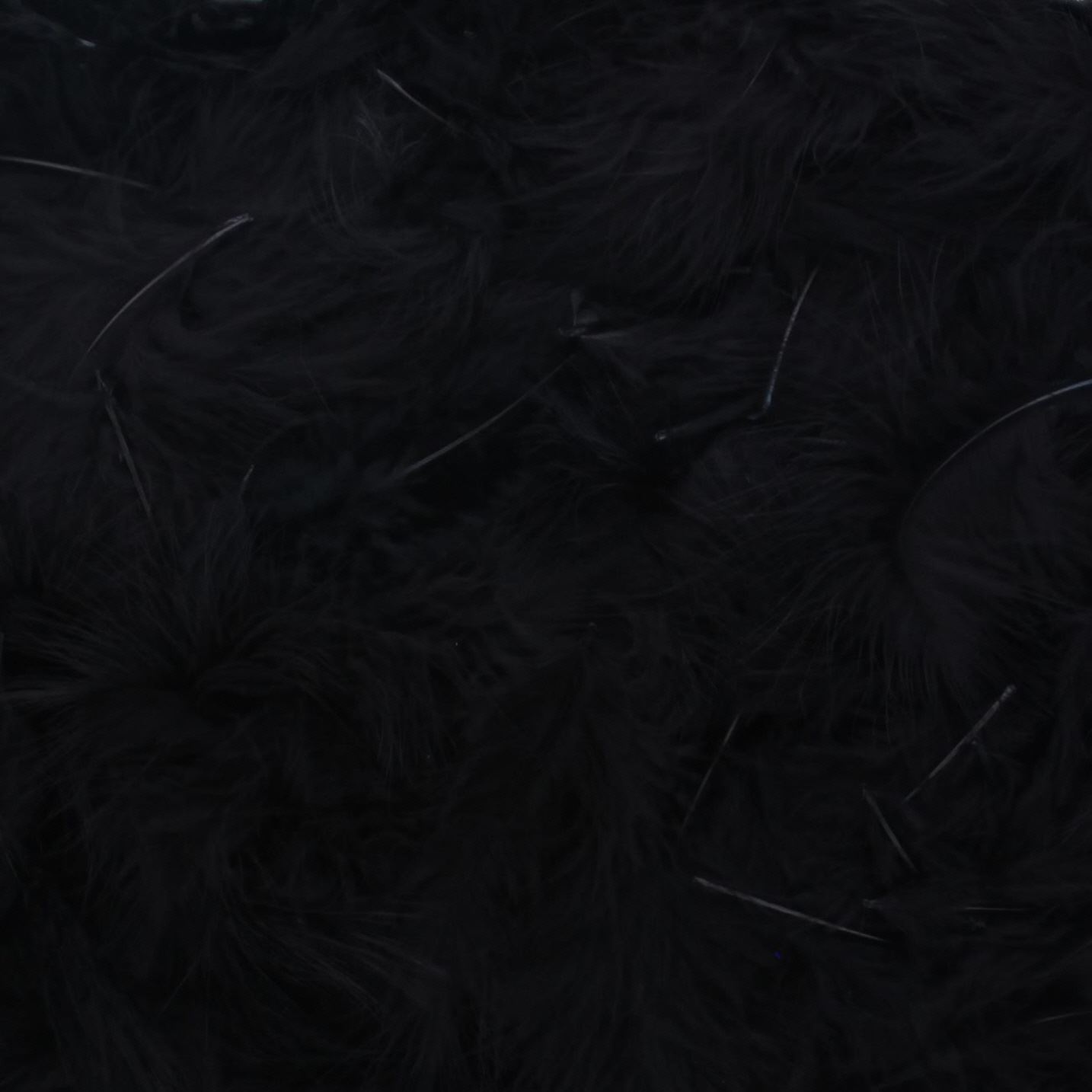 Federn Schwarz– etwa 400 Stück pro Beutel