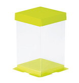 Calisto Boîte transparente verticale (vert) - 50 pièces