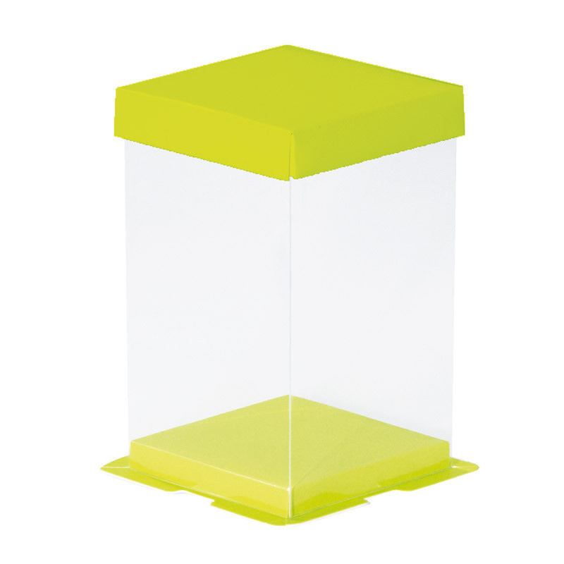 Calisto Transparant box vertical (green) - 50 pieces