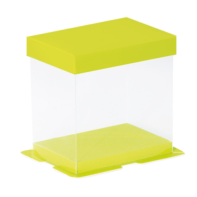 Calisto Transparant box horizontal (green) - 50 pieces