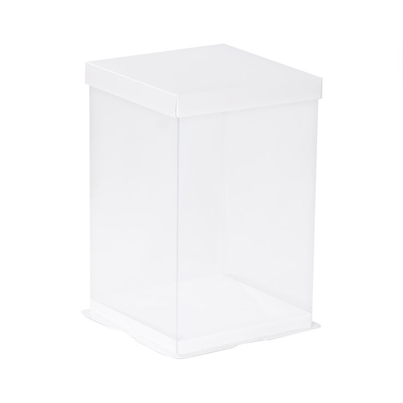 Calisto Boîte transparente verticale (blanc) - 50 pièces