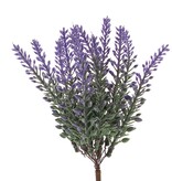 Lavendel bundel - 100*70*170mm - 48 stuks