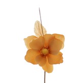 Helleborus "Summer" - camel - 60*60*190mm - 72 stuks