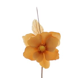 Helleborus "Summer" - camel