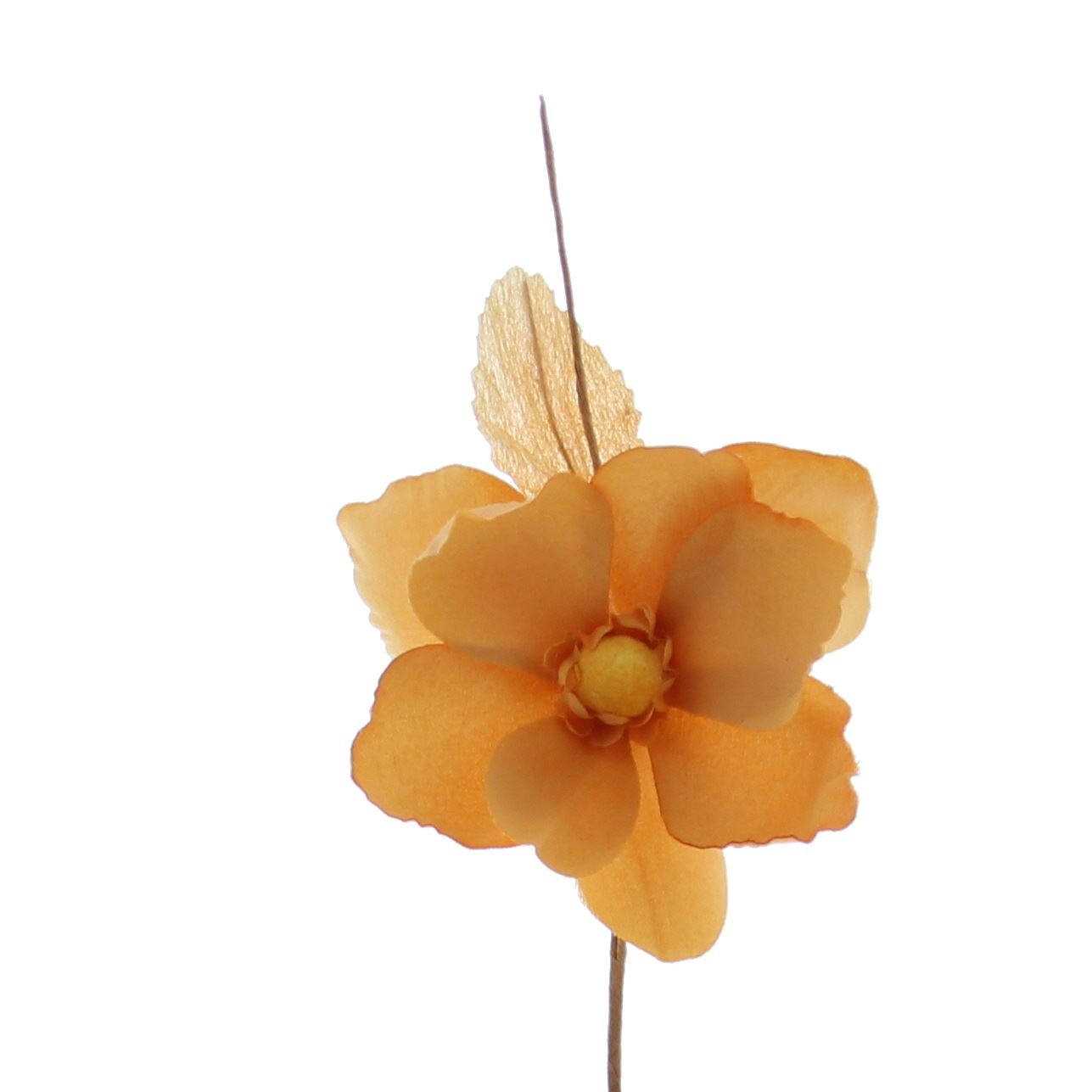 Helleborus "Summer" - camel - 60*60*190mm - 72 stuks