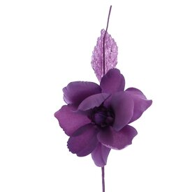 Helleborus "Summer" - lilac