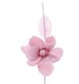 Helleborus "Sommer" - Lilarosa