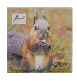 Napkin squirrel