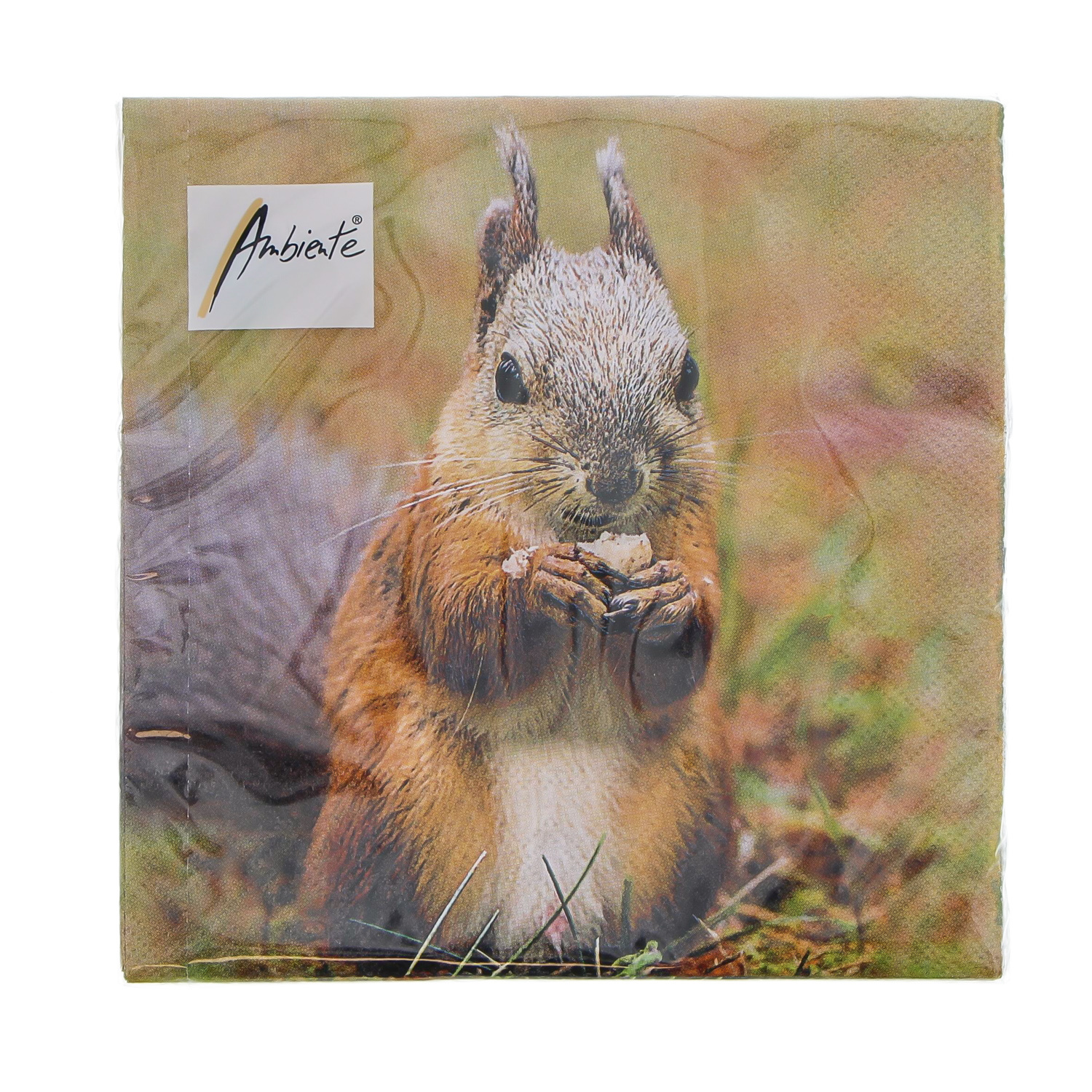 Napkin squirrel