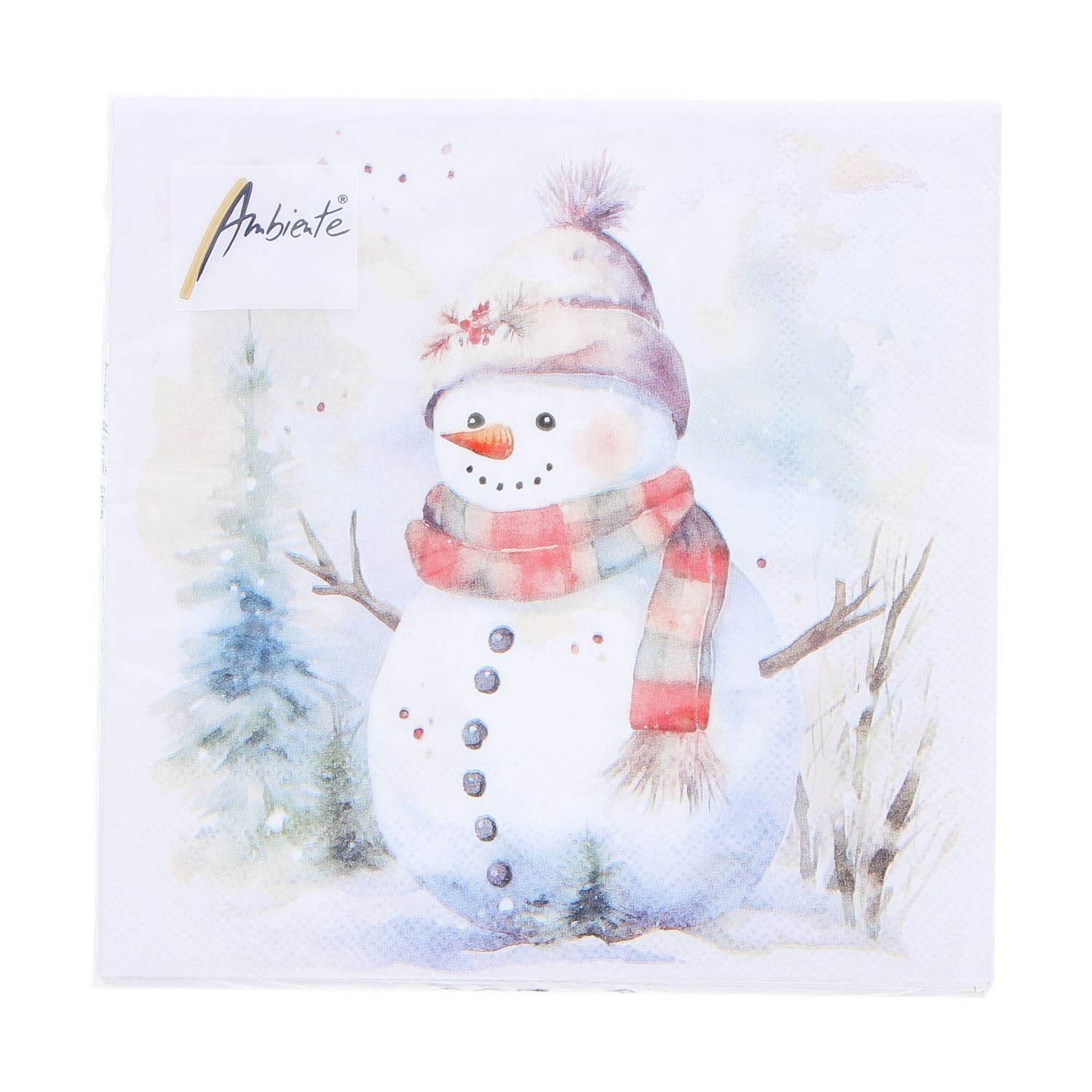 Napkin Snowman in nature