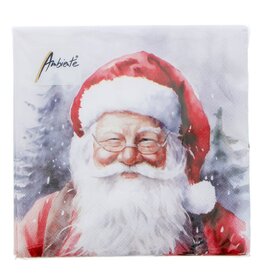 Napkin Happy Santa