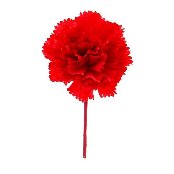 Chameau rouge de Dianthus