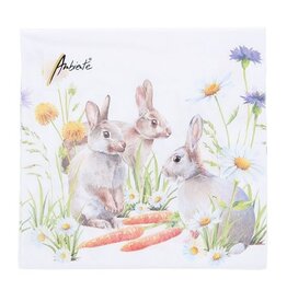 Serviette  Carrot treat