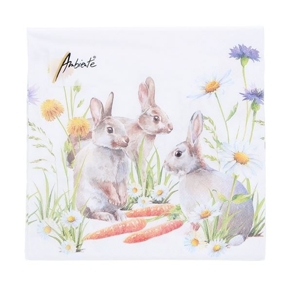 Serviette Carrot treat