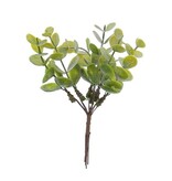 Dėcoration brind'eucalyptus