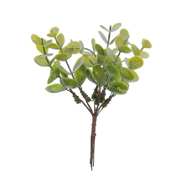 Dėcoration brind'eucalyptus