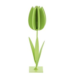 "Rutty" 3D deco Tulp