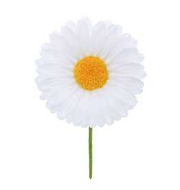 Magriet "Daisy" 1 fleur blanche