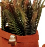 Fougère "Fern" fagot vert-brun 32 cm.