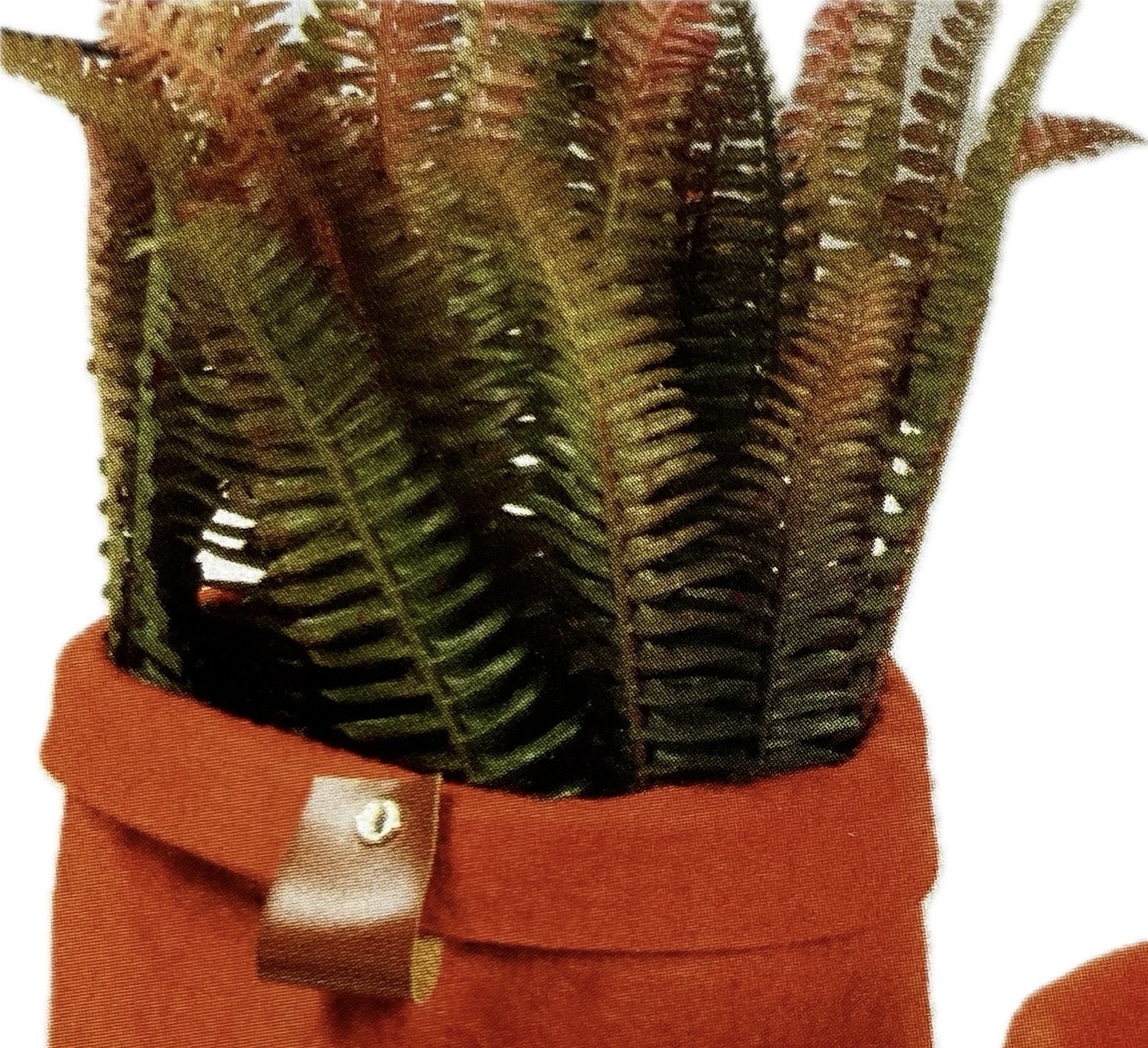 Fougère "Fern" fagot vert-brun 32 cm.