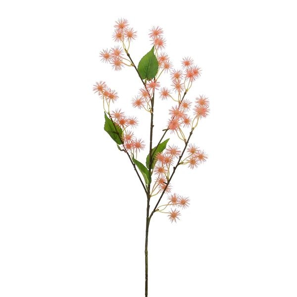 "Ricinus" tak met stekelige bloemen 78 cm zalm.