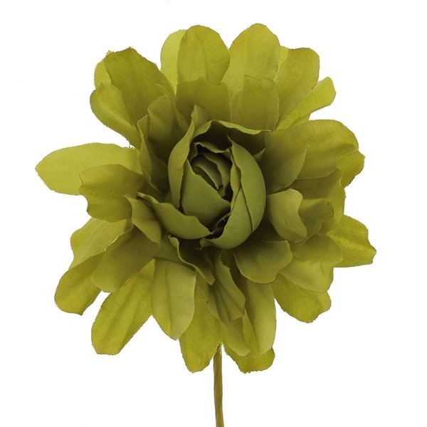 Camellia with a stem of 7 cm.