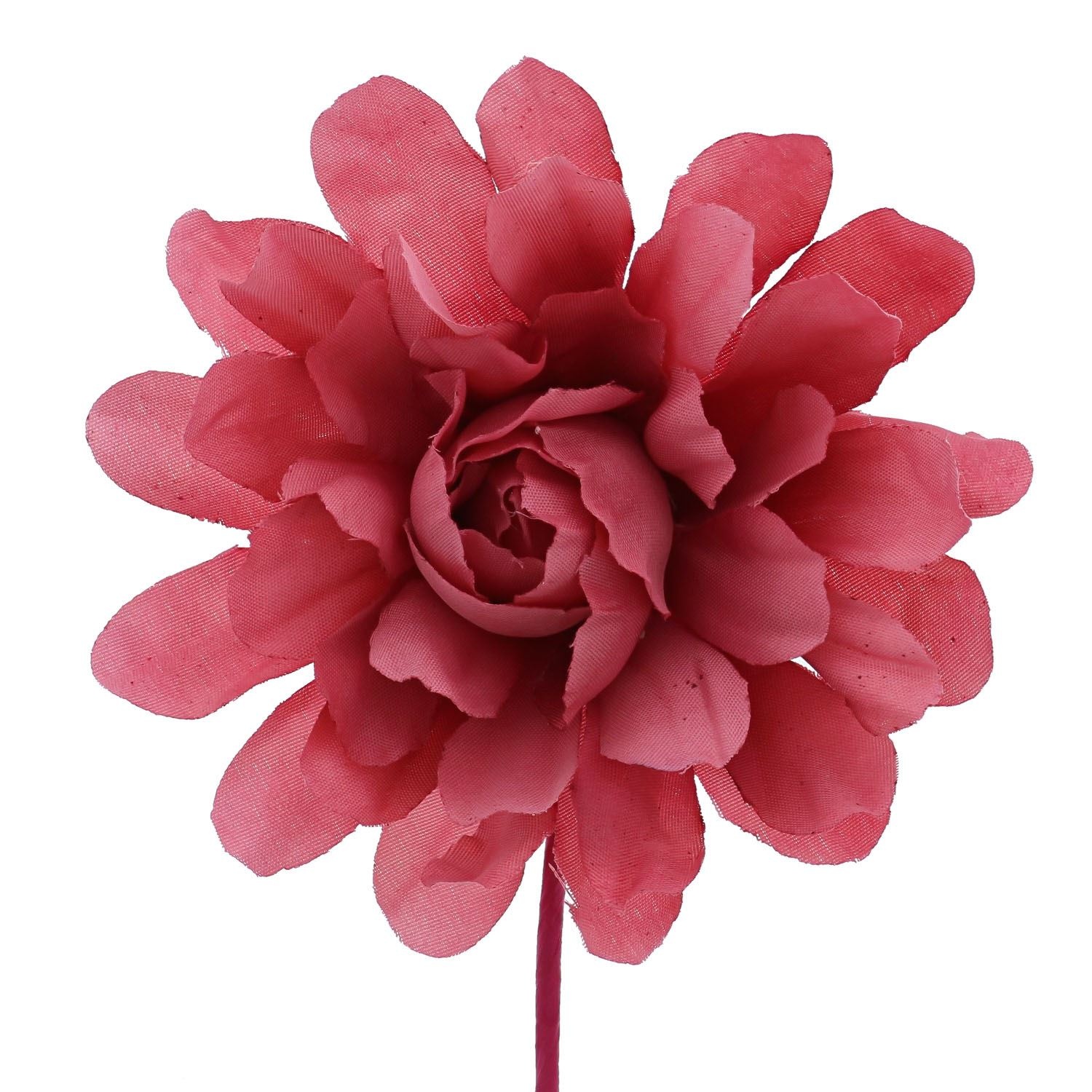 Camellia with a stem of 7 cm.