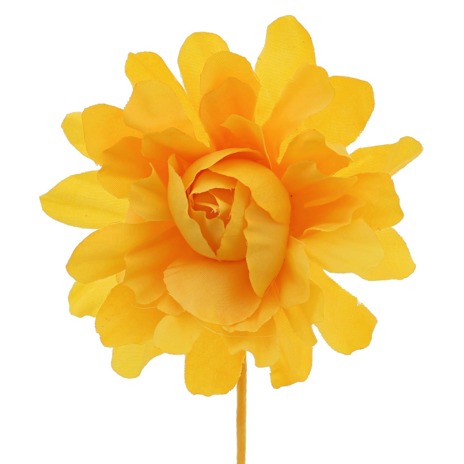 Camellia with a stem of 7 cm.
