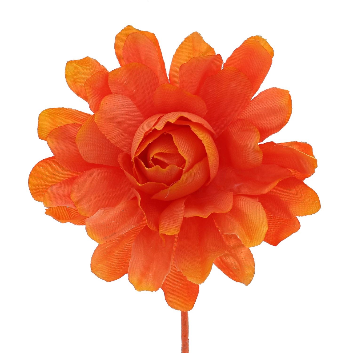 Camellia with a stem of 7 cm.
