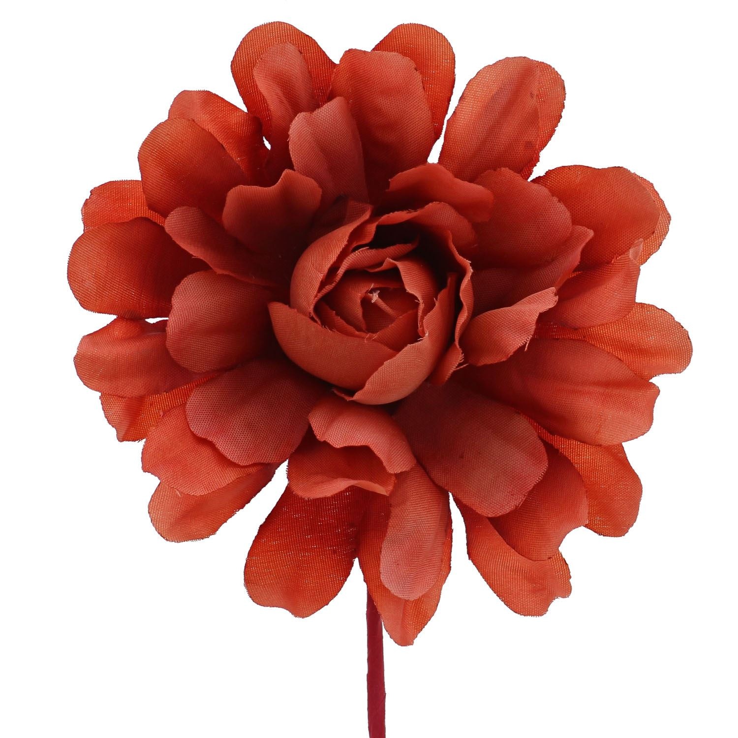 Camellia with a stem of 7 cm.