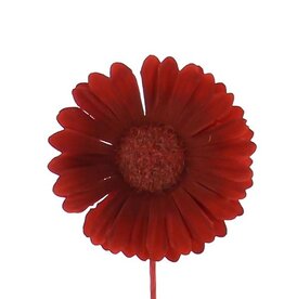 Bloem Germini donker Rood