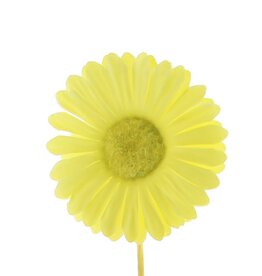 Flower Germini lemon